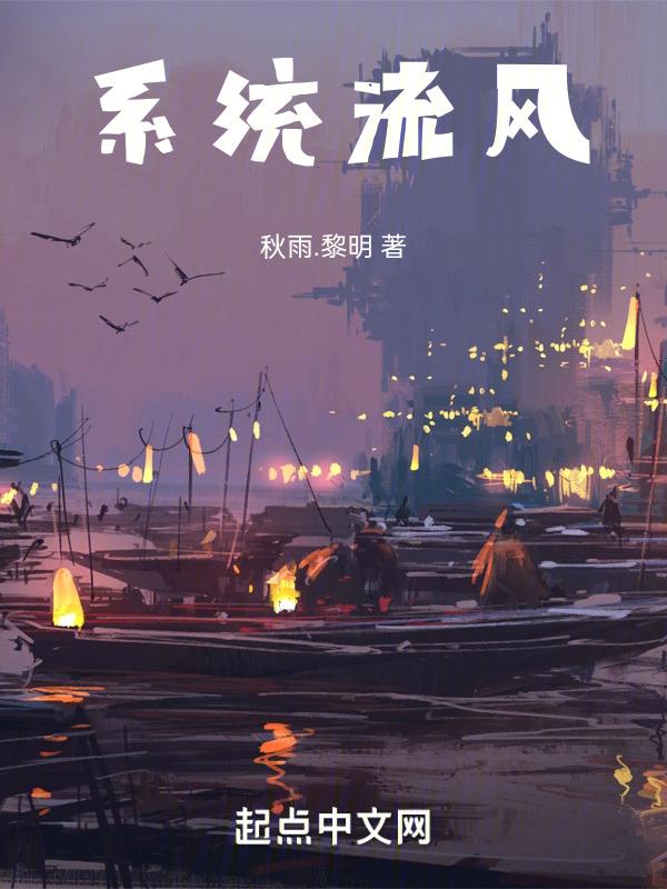 系统流吧