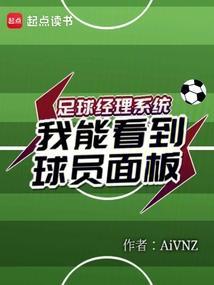 足球经理llm