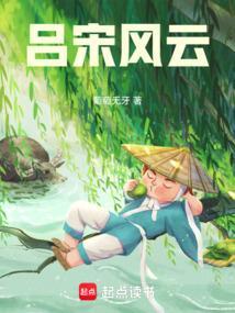 吕宋风云txt