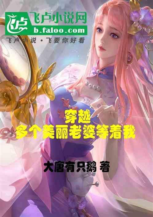 穿越娶几个老婆