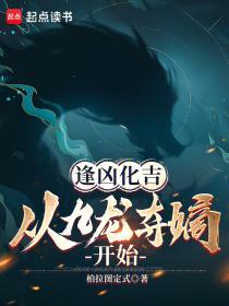 从九龙夺嫡开始 柏拉图定式