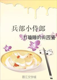 兵部侍郎是武官吗