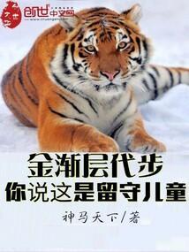 金渐层的知识