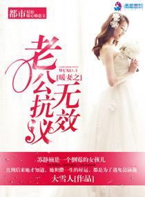 暖妻在上隐婚老公有点坏全文免费阅读正版