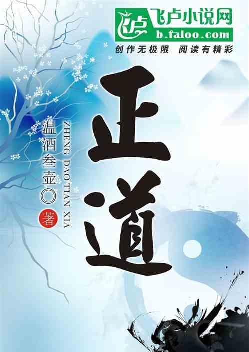 正道无敌电视剧全集免费观看