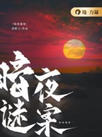 暗夜谜案电视