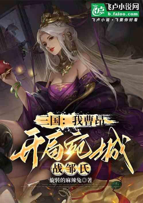 开局宛城战邹氏的