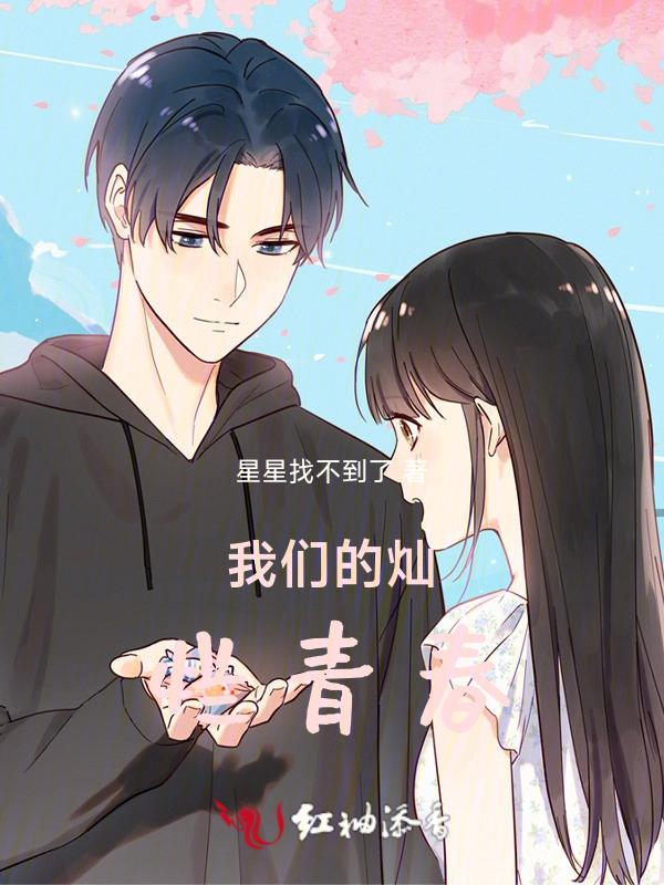 我们的灿烂青春剧情介绍
