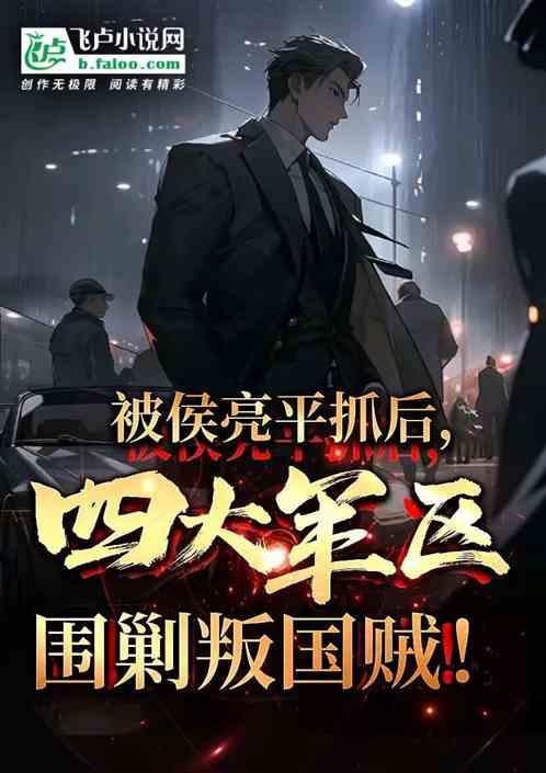 亮剑打平安县