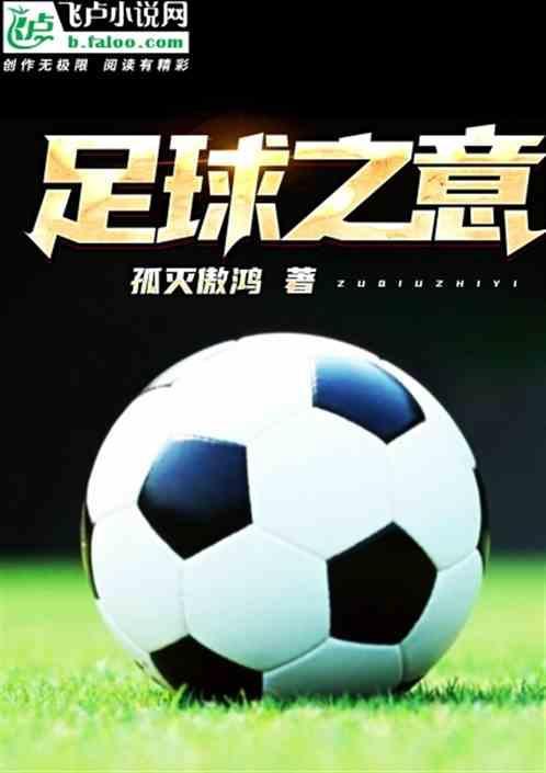 足球意思