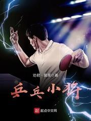 狂龙归来叶无忌