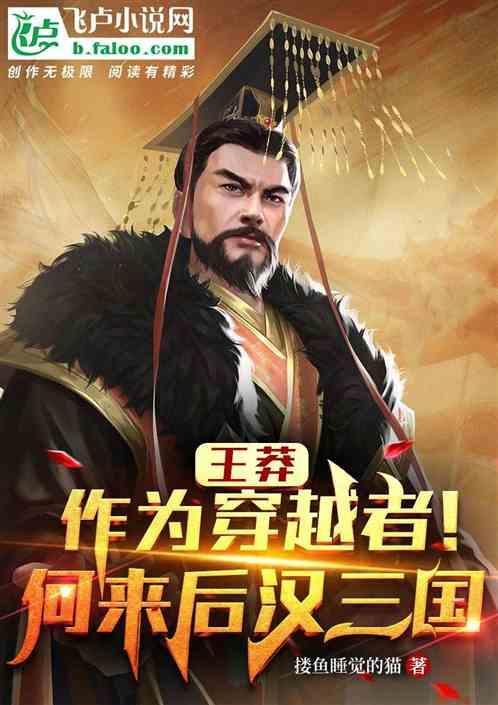 王莽汉朝