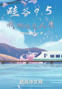 硅谷 mountain view