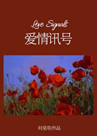 爱情讯号盛梨裴清词