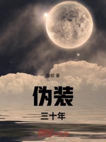 伪装国货三十年