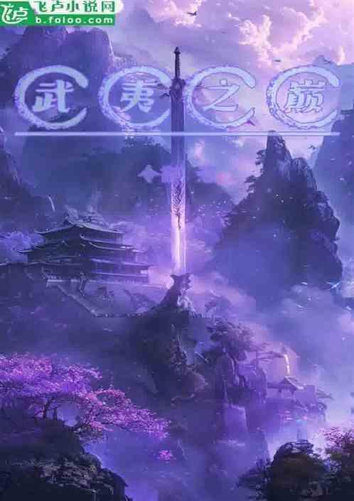 武夷之巅是什么茶