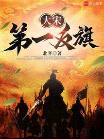 大宋叛旗