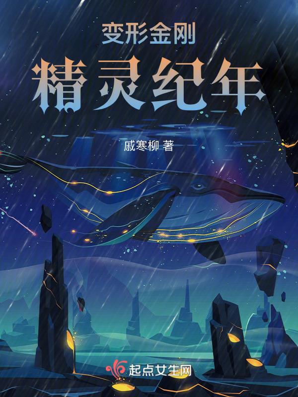 变形金刚精装版