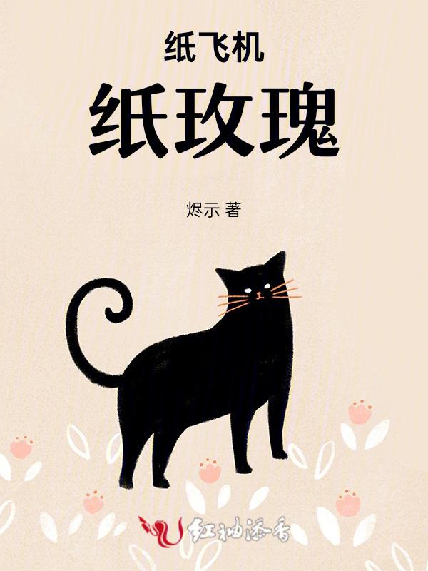 纸飞机的花样折法