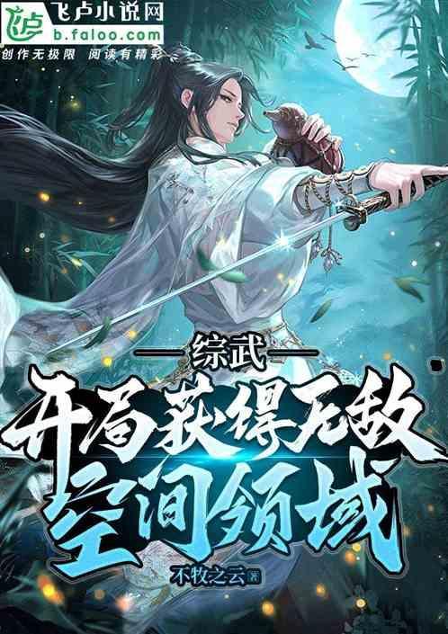 综武开局获得无敌空间领域