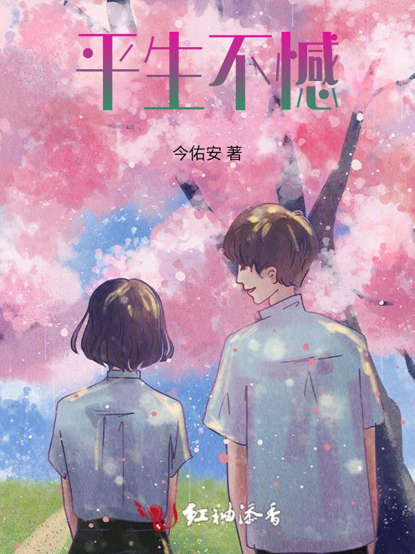 平生不负人是什么意思