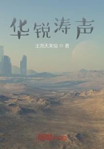 华锐ceo