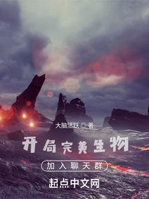 完美之开局
