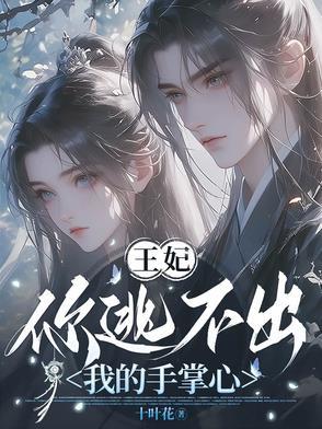 妃逃不可