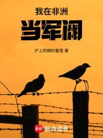 我在非洲当军阀TXT