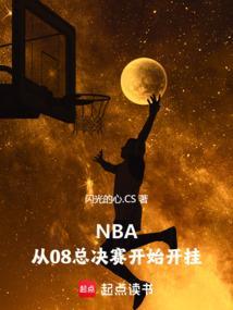 nba08年总决赛录像