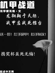 机甲 战斗