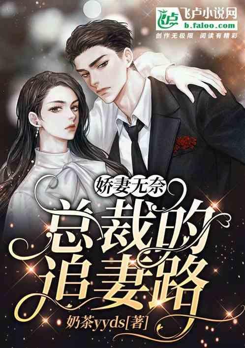 总裁娇妻不好追
