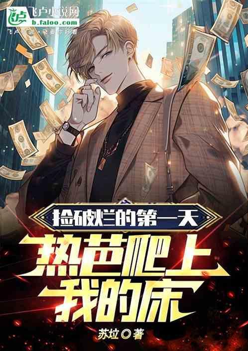 捡破烂的视频全集