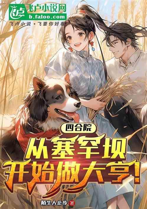 四合院从收破烂开始的军工大亨