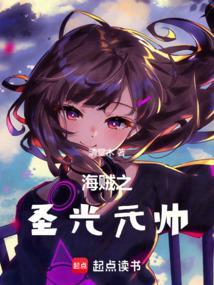 海贼之圣光元帅笔趣网