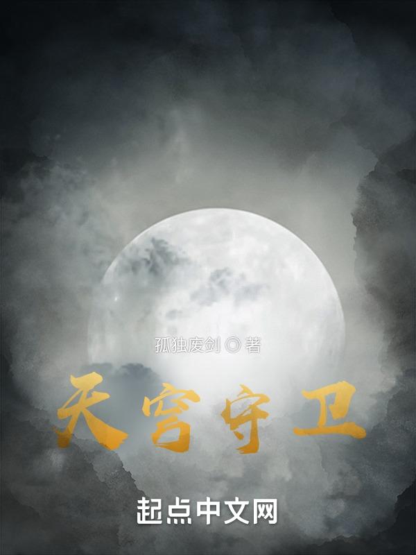 天穹守卫戍守型电子护盾没伤害
