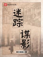 迷踪谍影 结局