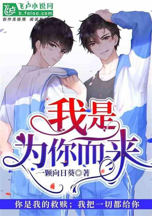 我是为你而来歌曲