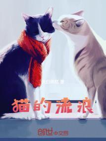 猫的流浪生活是怎么样的