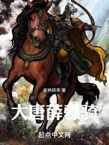 大唐薛骠骑笔趣阁