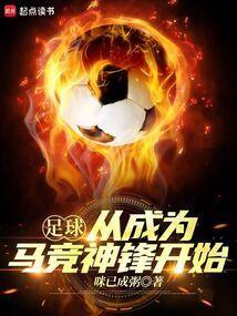 足球从成为马竞神锋开始笔趣阁