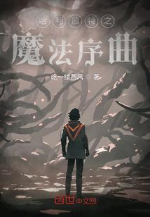 哈利波特魔法觉醒vivo渠道服