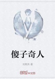 傻子奇遇记