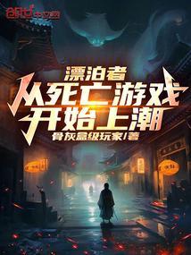 漂泊者是什么意思