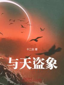 天盗是什么意思