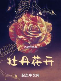 牡丹花开富贵自来