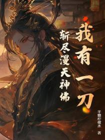 我有一把斩魄刀txt