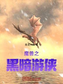 魔兽黑暗游侠外观