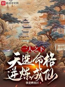 天选之人作品