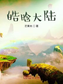 皓辰是谁